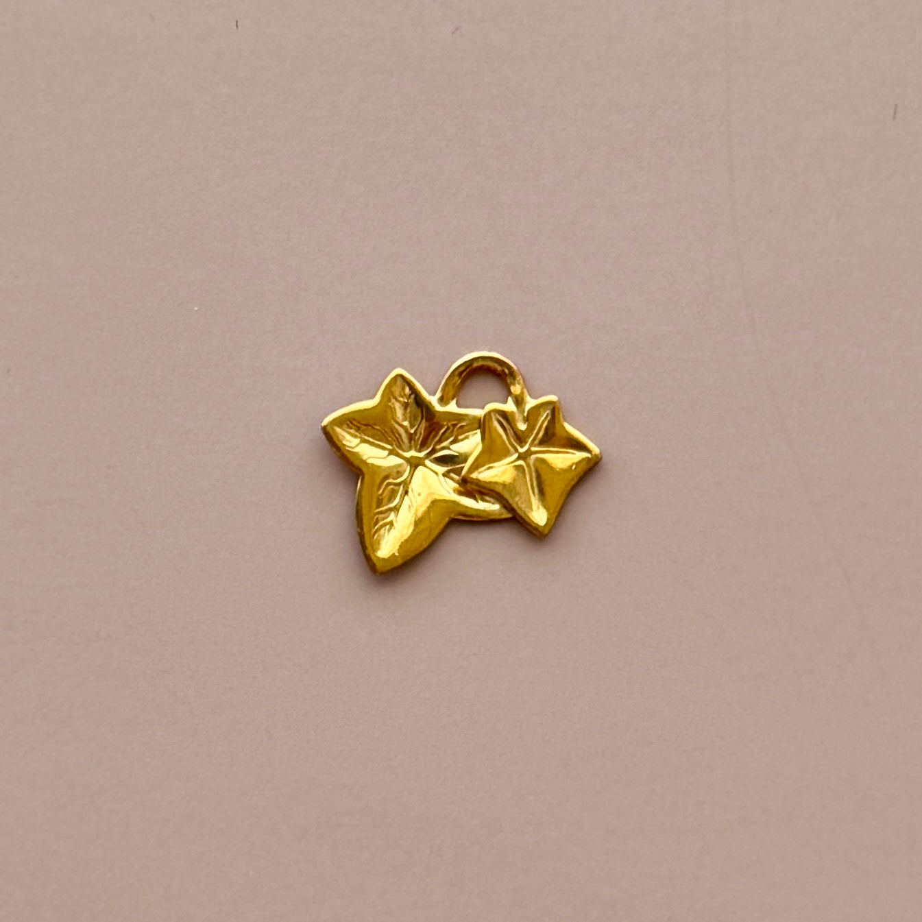 USA Vintage Brass Ivy Charms 12x13mm【2pcs】