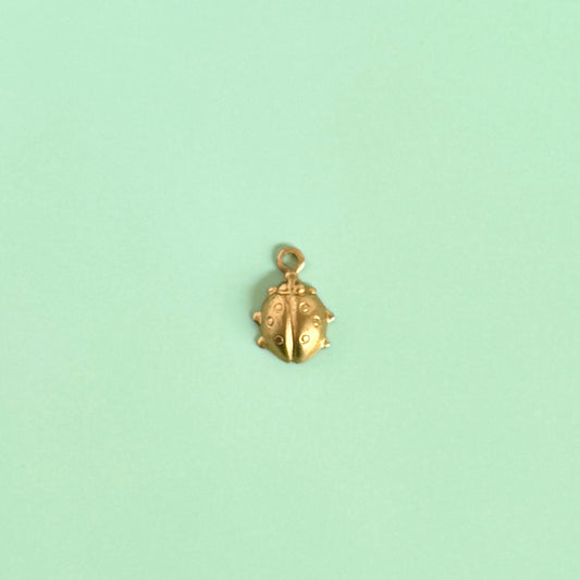 ブラスチャーム・Ladybug