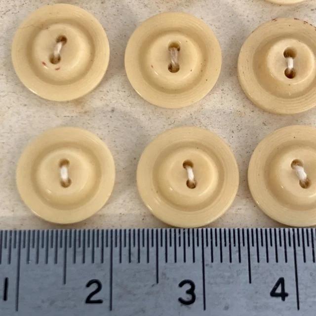 France Vintage Ivory Deco Plastic Button Sheet 11mm